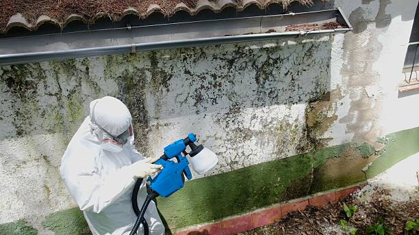 Top rated local Crawl Space Mold Remediation specialists in Saint Thomas, PA